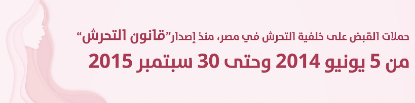 حملات القبض على خلفية التحرش 2014-2015 (إصدار أول)